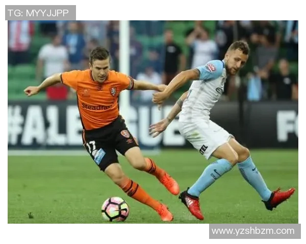 布里斯班狮吼与墨尔本胜利比赛比分预测及分析展望