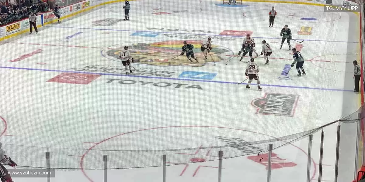 👟 专业级装备，助你突破身体极限！✨